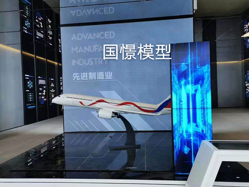 永和县飞机模型